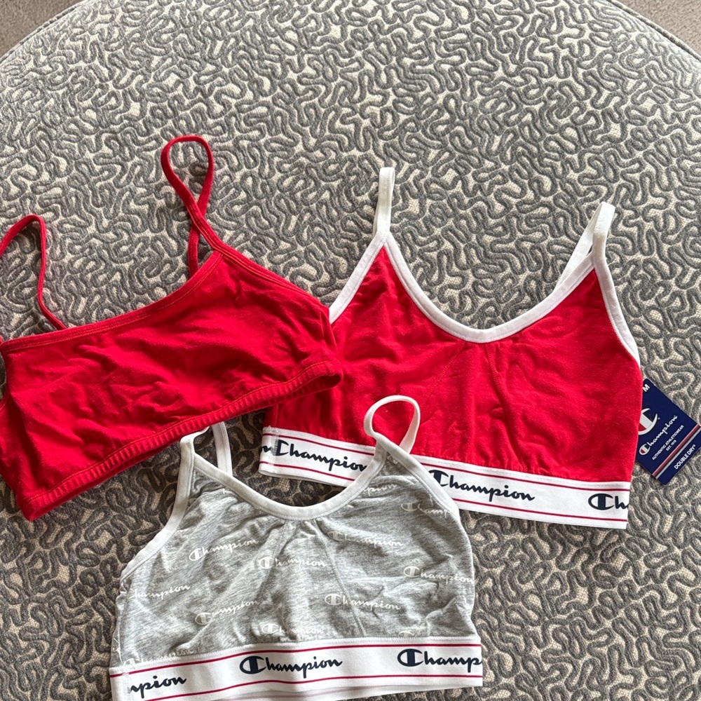 Bundle of 3 (2 medium champion brand and 1 size 34- solid red fruit of the loom)